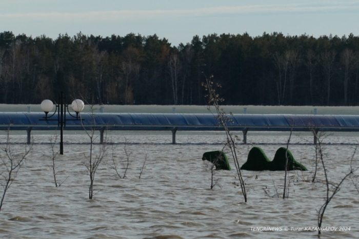 "Есть еще за что бороться". Кадры из затопленного Петропавловска