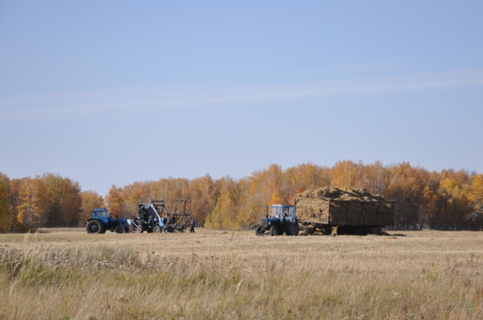 Последняя из Студеного. Казахстанка почти 20 лет одна живет в селе-призраке