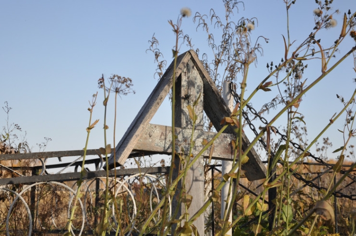 Последняя из Студеного. Казахстанка почти 20 лет одна живет в селе-призраке