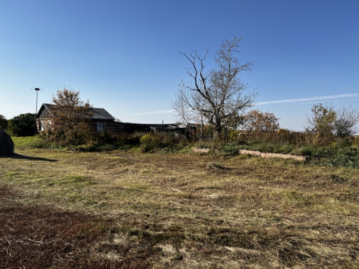 Последняя из Студеного. Казахстанка почти 20 лет одна живет в селе-призраке