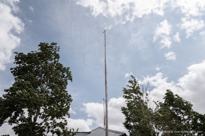 "Было 120 дворов, осталось - 14". Как в области Абай лесники не дают умереть целому селу "Было 120 дворов, осталось - 14". Как в области Абай лесники не дают умереть целому селу