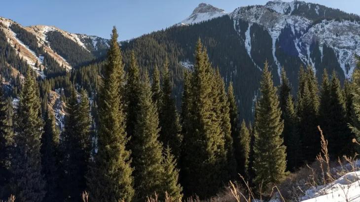 Алматы тауларында 20 жастағы жігіт жоғалып кетті: іздестіру жұмыстары басталды
Алматы тауларында 20 жастағы жігіт жоғалып кетті: іздестіру жұмыстары басталды