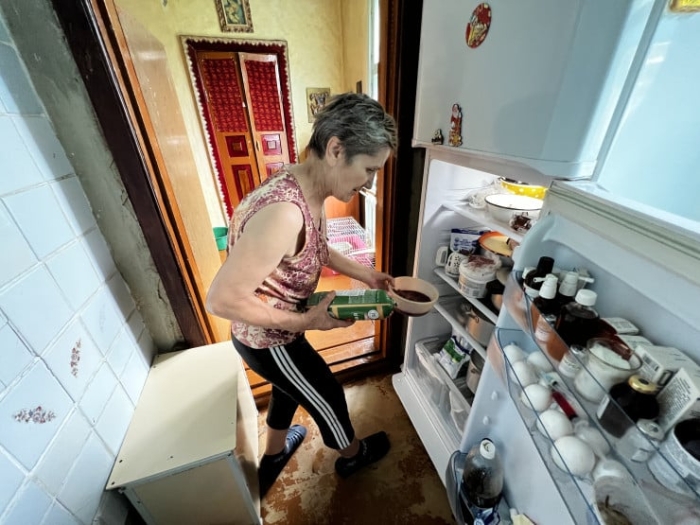 “Мы никому не нужны, кроме них“. Казахстанка “отдала“ свой дом кошкам “Мы никому не нужны, кроме них“. Казахстанка “отдала“ свой дом кошкам