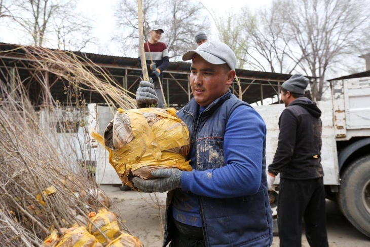 "Алматы – біздің ортақ үйіміз" жалпықалалық науқанның қорытындысы шығарылды
"Алматы – біздің ортақ үйіміз" жалпықалалық науқанның қорытындысы шығарылды