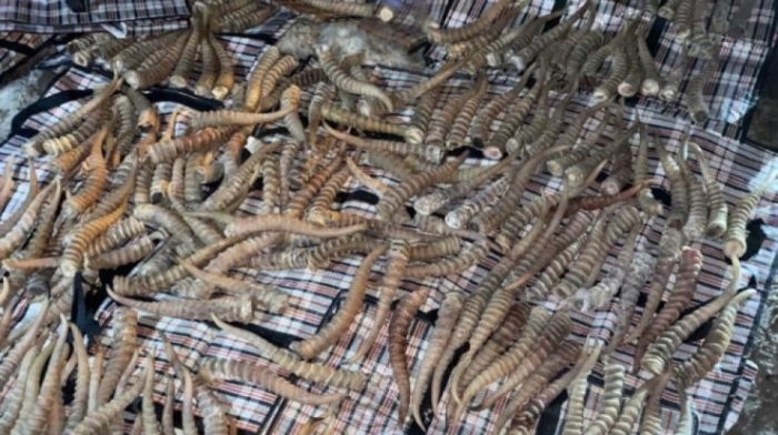 Перевод времени и приближение кометы к Земле: обзор новостей за 8 октября