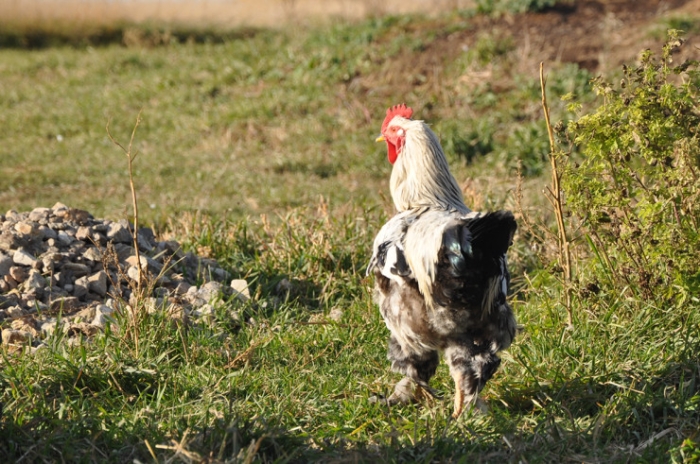 Последняя из Студеного. Казахстанка почти 20 лет одна живет в селе-призраке