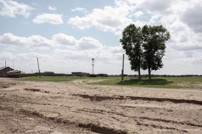 "Было 120 дворов, осталось - 14". Как в области Абай лесники не дают умереть целому селу "Было 120 дворов, осталось - 14". Как в области Абай лесники не дают умереть целому селу