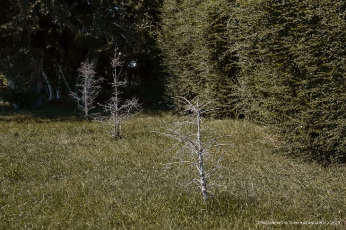 Ошибки при планировании, заброшенные парки и обманутые люди. Что происходит в Актобе? Ошибки при планировании, заброшенные парки и обманутые люди. Что происходит в Актобе?