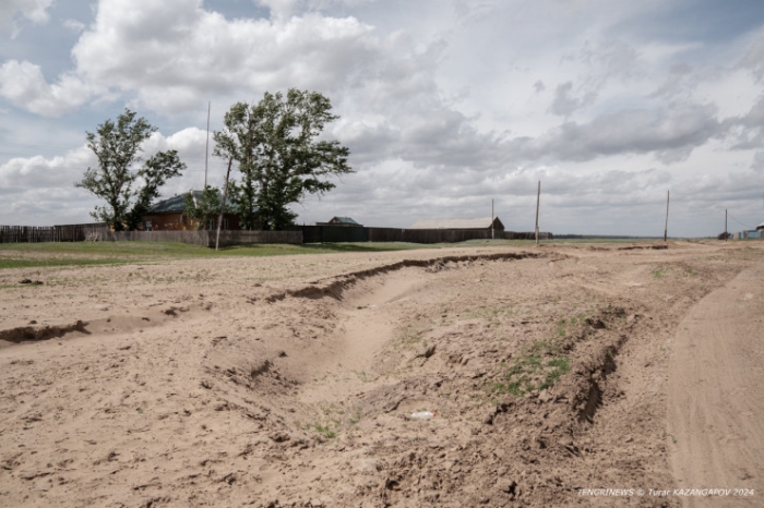 "Было 120 дворов, осталось - 14". Как в области Абай лесники не дают умереть целому селу "Было 120 дворов, осталось - 14". Как в области Абай лесники не дают умереть целому селу