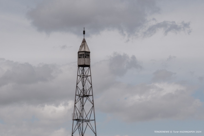 "Было 120 дворов, осталось - 14". Как в области Абай лесники не дают умереть целому селу "Было 120 дворов, осталось - 14". Как в области Абай лесники не дают умереть целому селу