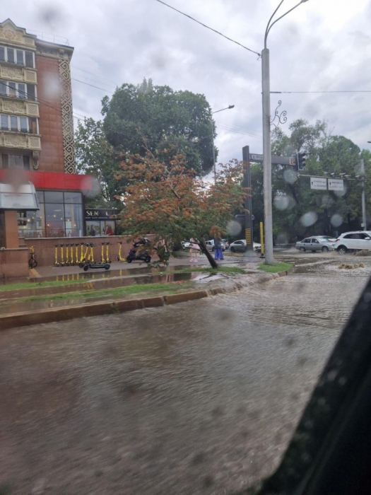 Алматинцы делятся фото и видео затопленных улиц после ливня