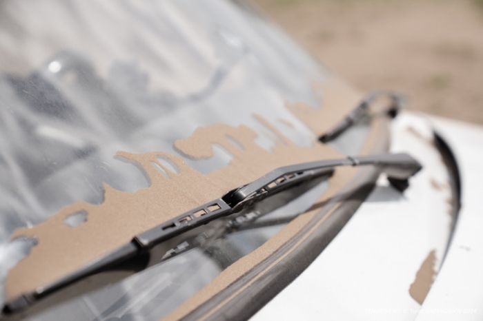 "Было 120 дворов, осталось - 14". Как в области Абай лесники не дают умереть целому селу "Было 120 дворов, осталось - 14". Как в области Абай лесники не дают умереть целому селу