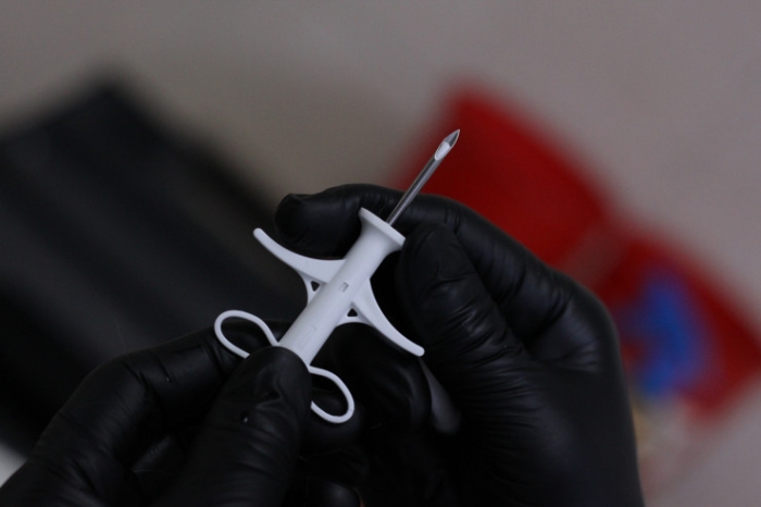 Как чипируют домашних животных в Казахстане