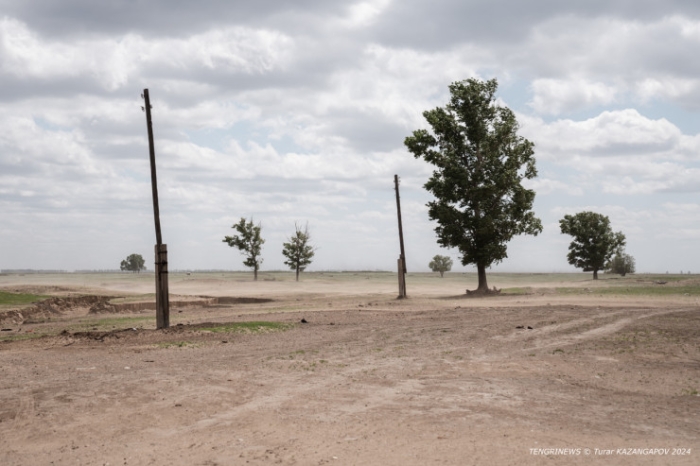 "Было 120 дворов, осталось - 14". Как в области Абай лесники не дают умереть целому селу "Было 120 дворов, осталось - 14". Как в области Абай лесники не дают умереть целому селу