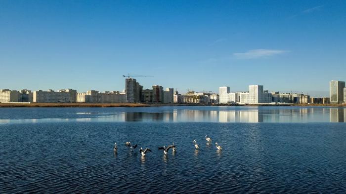 Очистку озера Талдыколь провели с использованием специальных шаров в Астане
Очистку озера Талдыколь провели с использованием специальных шаров в Астане