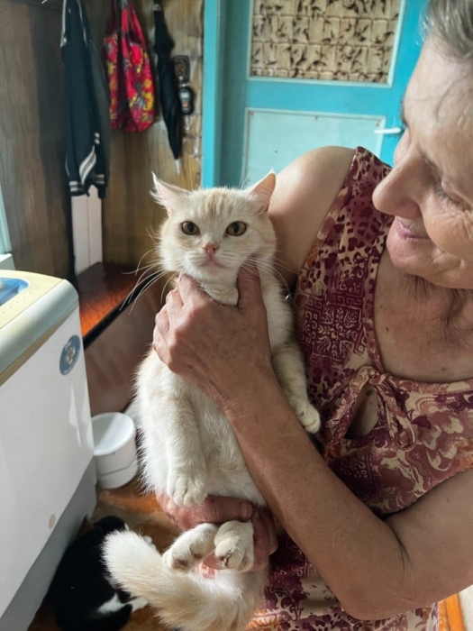 “Мы никому не нужны, кроме них“. Казахстанка “отдала“ свой дом кошкам “Мы никому не нужны, кроме них“. Казахстанка “отдала“ свой дом кошкам