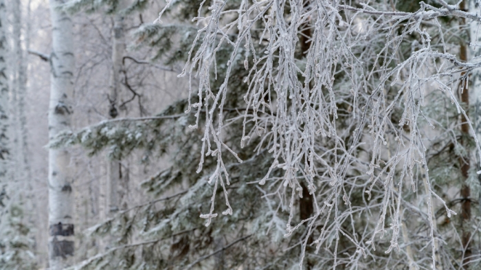 Морозы до 13 градусов придут в Казахстан