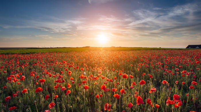 Как отдыхаем в июне - календарь для Казахстана Как отдыхаем в июне - календарь для Казахстана