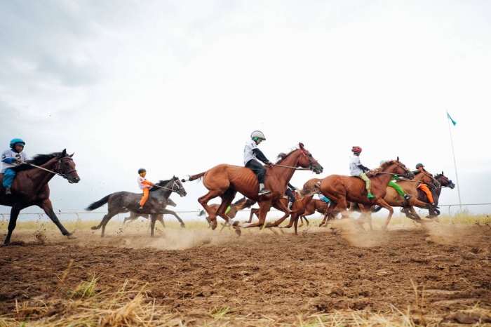 
Первых участников Всемирных игр кочевников по байге определили в Павлодаре
