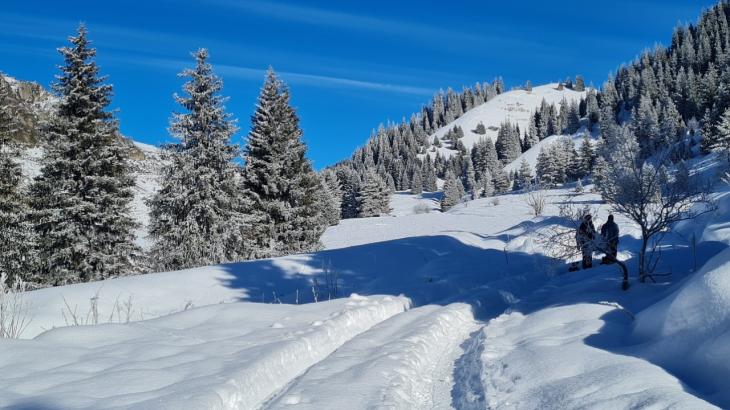 Лавинная опасность сохранится в горах Алматы до 31 марта
Лавинная опасность сохранится в горах Алматы до 31 марта