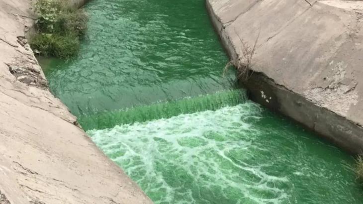 
                                                                                                                                                                                                                                                                                                                                                                                                                                                                                                Вода позеленела в реках Алматы: экологи дали заключение
                                                            