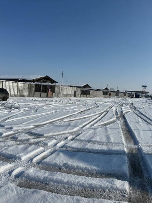 Аффилированные с Болатом Назарбаевым земли вернули государству