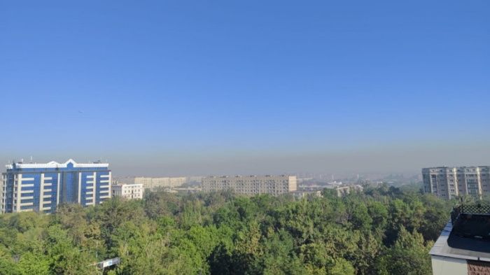 Алматы затянуло дымом: названа возможная причина Алматы затянуло дымом: названа возможная причина