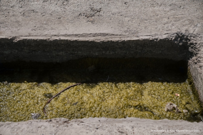 Ошибки при планировании, заброшенные парки и обманутые люди. Что происходит в Актобе? Ошибки при планировании, заброшенные парки и обманутые люди. Что происходит в Актобе?