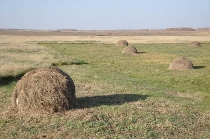 Последняя из Студеного. Казахстанка почти 20 лет одна живет в селе-призраке