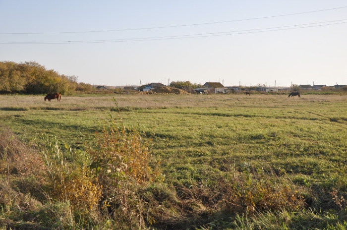 Последняя из Студеного. Казахстанка почти 20 лет одна живет в селе-призраке