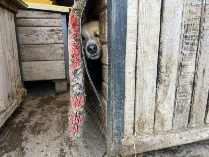 Эвакуируют даже эвакопункты: Петропавловск в ожидании самой большой воды в истории города Эвакуируют даже эвакопункты: Петропавловск в ожидании самой большой воды в истории города