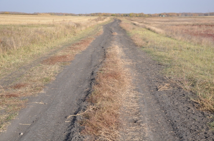 Последняя из Студеного. Казахстанка почти 20 лет одна живет в селе-призраке