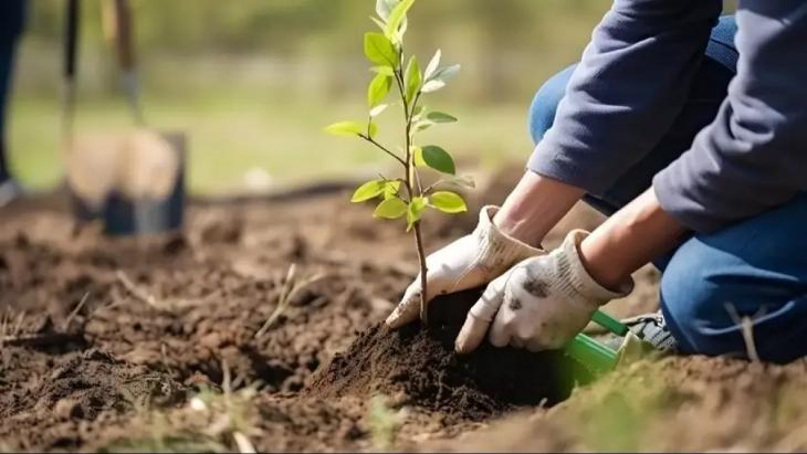 
                                                                                                                                                                                                    19&ndash;20 сәуірде Алматы тұрғындарына 2 мыңнан астам көшет тегін беріледі
                                                    