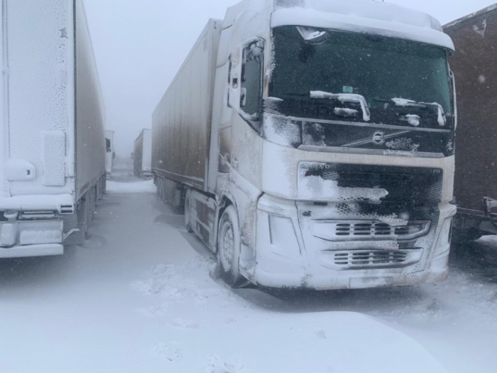 "Оставаться на местах": полицейские записали видеообращение к казахстанцам