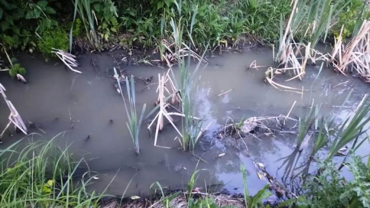 Алматы іргесінде тұратын ауыл тұрғындары жағымсыз иіске шағымданды
Алматы іргесінде тұратын ауыл тұрғындары жағымсыз иіске шағымданды