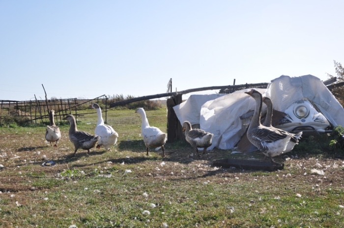 Последняя из Студеного. Казахстанка почти 20 лет одна живет в селе-призраке