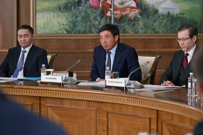 Президент Токаев провел встречу с представителями отечественного бизнес-сообщества Президент Токаев провел встречу с представителями отечественного бизнес-сообщества