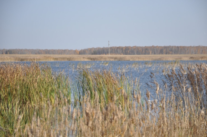 Последняя из Студеного. Казахстанка почти 20 лет одна живет в селе-призраке