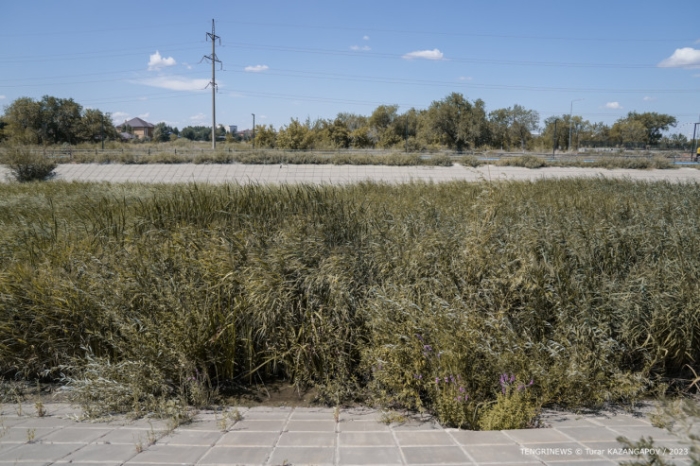 Ошибки при планировании, заброшенные парки и обманутые люди. Что происходит в Актобе? Ошибки при планировании, заброшенные парки и обманутые люди. Что происходит в Актобе?