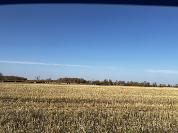 Последняя из Студеного. Казахстанка почти 20 лет одна живет в селе-призраке