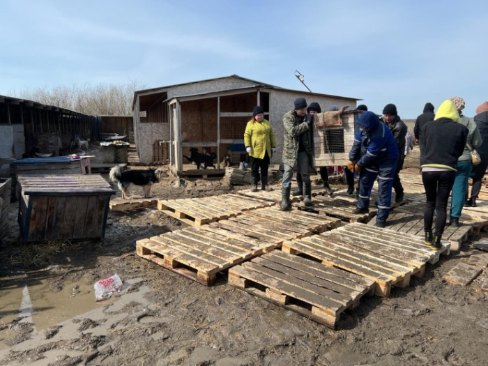 Эвакуируют даже эвакопункты: Петропавловск в ожидании самой большой воды в истории города Эвакуируют даже эвакопункты: Петропавловск в ожидании самой большой воды в истории города