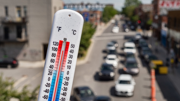 Экстремальная жара убивает людей во всем мире Экстремальная жара убивает людей во всем мире