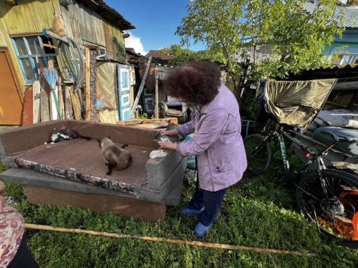 “Мы никому не нужны, кроме них“. Казахстанка “отдала“ свой дом кошкам “Мы никому не нужны, кроме них“. Казахстанка “отдала“ свой дом кошкам