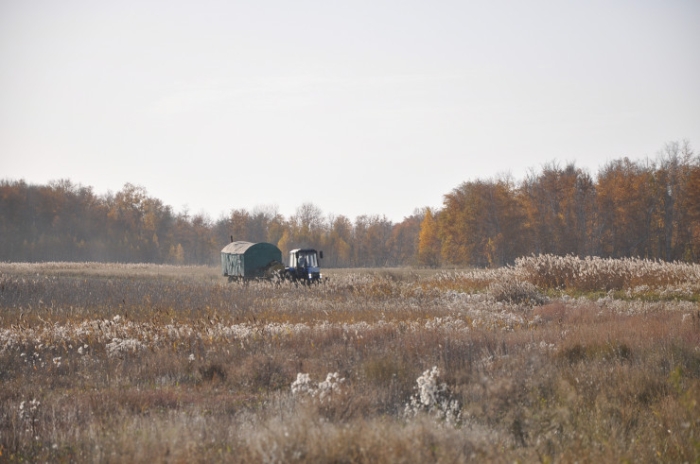 Последняя из Студеного. Казахстанка почти 20 лет одна живет в селе-призраке