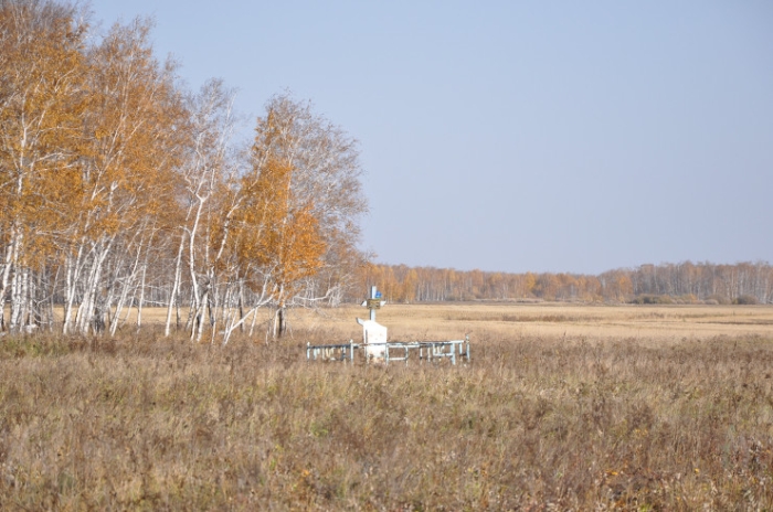 Последняя из Студеного. Казахстанка почти 20 лет одна живет в селе-призраке